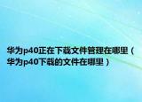 華為p40正在下載文件管理在哪里（華為p40下載的文件在哪里）