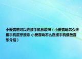 小愛(ài)音箱可以連接手機(jī)放歌嗎（小愛(ài)音響怎么連接手機(jī)藍(lán)牙放歌 小愛(ài)音響怎么連接手機(jī)播放音樂(lè)介紹）