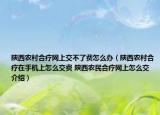 陜西農村合療網上交不了費怎么辦（陜西農村合療在手機上怎么交費 陜西農民合療網上怎么交介紹）