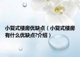 小復(fù)式樓房優(yōu)缺點(diǎn)（小復(fù)式樓房有什么優(yōu)缺點(diǎn)?介紹）