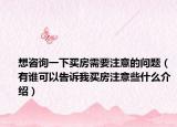 想咨詢一下買房需要注意的問(wèn)題（有誰(shuí)可以告訴我買房注意些什么介紹）