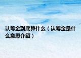 認(rèn)籌金到底算什么（認(rèn)籌金是什么意思介紹）