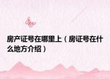 房產(chǎn)證號(hào)在哪里上（房證號(hào)在什么地方介紹）