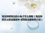 淘寶種樹旁邊的小兔子怎么領(lǐng)?。ㄌ詫毞N樹怎么取消重新種 如何取消重新種介紹）