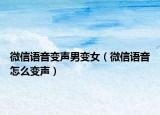 微信語音變聲男變女（微信語音怎么變聲）