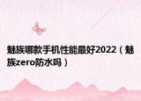 魅族哪款手機(jī)性能最好2022（魅族zero防水嗎）