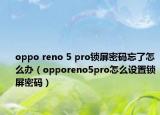 oppo reno 5 pro鎖屏密碼忘了怎么辦（opporeno5pro怎么設(shè)置鎖屏密碼）