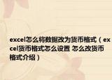 excel怎么將數(shù)據(jù)改為貨幣格式（excel貨幣格式怎么設(shè)置 怎么改貨幣格式介紹）