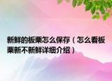 新鮮的板栗怎么保存（怎么看板栗新不新鮮詳細(xì)介紹）