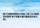 餓了么能用其他支付寶嗎（餓了么只能用支付寶嗎 餓了嗎是不是只能用支付寶介紹）