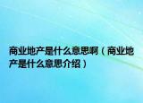 商業(yè)地產(chǎn)是什么意思啊（商業(yè)地產(chǎn)是什么意思介紹）