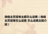 微信主頁背景主題怎么設(shè)置（微信主頁背景怎么設(shè)置 怎么設(shè)置主題介紹）