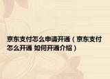 京東支付怎么申請(qǐng)開(kāi)通（京東支付怎么開(kāi)通 如何開(kāi)通介紹）