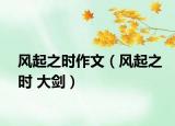 風(fēng)起之時(shí)作文（風(fēng)起之時(shí) 大劍）