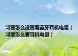 鴻蒙怎么設置看藍牙耳機電量（鴻蒙怎么看耳機電量）