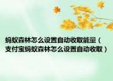 螞蟻森林怎么設置自動收取能量（支付寶螞蟻森林怎么設置自動收?。? /></span></a>
                        <h2><a href=