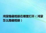 鴻蒙隱藏相冊在哪里打開（鴻蒙怎么隱藏相冊）