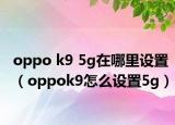 oppo k9 5g在哪里設置（oppok9怎么設置5g）