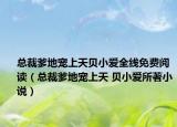 總裁爹地寵上天貝小愛全線免費(fèi)閱讀（總裁爹地寵上天 貝小愛所著小說）