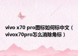 vivo x70 pro圖標(biāo)如何標(biāo)中文（vivox70pro怎么消除角標(biāo)）