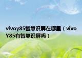 vivoy85智慧識屏在哪里（vivoY85有智慧識屏嗎）