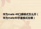 華為mate 40口袋模式怎么開（華為mate40手套模式在哪）