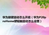 華為按鍵震動(dòng)怎么開啟（華為P20proHome鍵輕觸震動(dòng)怎么設(shè)置）