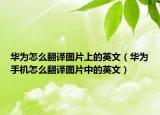 華為怎么翻譯圖片上的英文（華為手機(jī)怎么翻譯圖片中的英文）