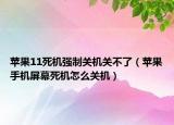 蘋果11死機(jī)強(qiáng)制關(guān)機(jī)關(guān)不了（蘋果手機(jī)屏幕死機(jī)怎么關(guān)機(jī)）