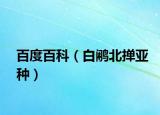 百度百科（白鷴北撣亞種）
