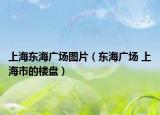 上海東海廣場圖片（東海廣場 上海市的樓盤）
