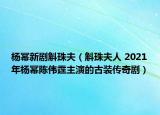 楊冪新劇斛珠夫（斛珠夫人 2021年楊冪陳偉霆主演的古裝傳奇劇）