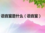 語(yǔ)音室是什么（語(yǔ)音室）