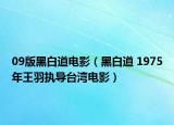 09版黑白道電影（黑白道 1975年王羽執(zhí)導臺灣電影）