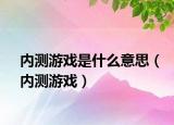 內(nèi)測(cè)游戲是什么意思（內(nèi)測(cè)游戲）