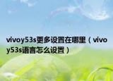 vivoy53s更多設(shè)置在哪里（vivoy53s語(yǔ)言怎么設(shè)置）