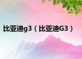 比亞迪g3（比亞迪G3）