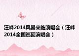 汪峰2014風(fēng)暴來臨演唱會（汪峰2014全國巡回演唱會）
