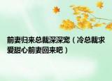 前妻歸來總裁深深寵（冷總裁求愛甜心前妻回來吧）