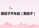 黃段子開車的（黃段子）