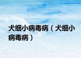 犬細(xì)小病毒病（犬細(xì)小病毒?。? /></span></a>
                        <h2><a  title=