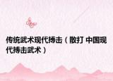 傳統(tǒng)武術現(xiàn)代搏擊（散打 中國現(xiàn)代搏擊武術）