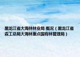 黑龍江省大海林林業(yè)局 概況（黑龍江省森工總局大海林重點(diǎn)國(guó)有林管理局）