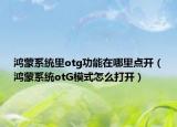 鴻蒙系統(tǒng)里otg功能在哪里點(diǎn)開(kāi)（鴻蒙系統(tǒng)otG模式怎么打開(kāi)）