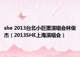 she 2013臺北小巨蛋演唱會林俊杰（2013SHE上海演唱會）