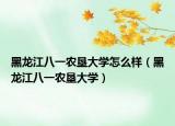 黑龍江八一農(nóng)墾大學(xué)怎么樣（黑龍江八一農(nóng)墾大學(xué)）