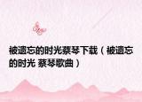 被遺忘的時光蔡琴下載（被遺忘的時光 蔡琴歌曲）