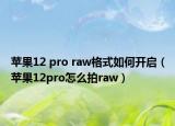 蘋(píng)果12 pro raw格式如何開(kāi)啟（蘋(píng)果12pro怎么拍raw）