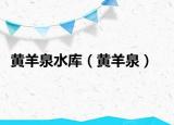 黃羊泉水庫（黃羊泉）