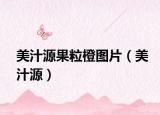 美汁源果粒橙圖片（美汁源）